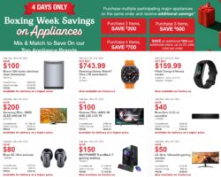 Costco Boxing Day Flyer 2024