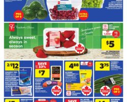 Dominion Flyer Specials