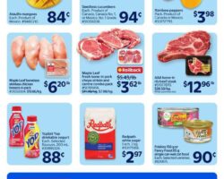 Walmart Flyer (West)