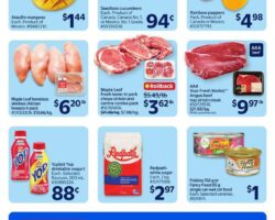 Walmart Flyer (Atlantic)