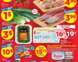 Maxi Flyer