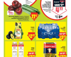 FreshCo Flyer (ON)