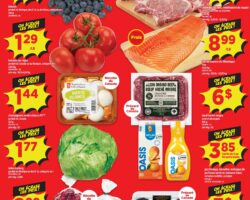 Circulaire Maxi 04.06.2026