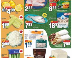 Adonis Flyer Sale