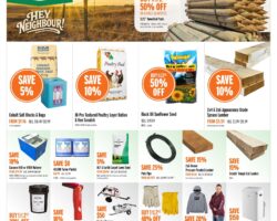 UFA Weekly Flyer