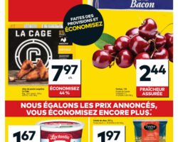 Circulaire Tigre Géant 08.07.2026