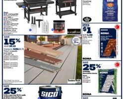 Rona Flyer