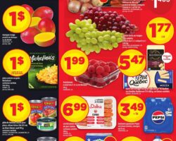 Circulaire Maxi 20.08.2026