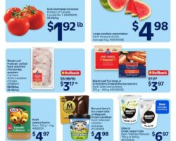 Walmart Flyer Deals (ON)