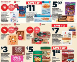 Independent Flyer