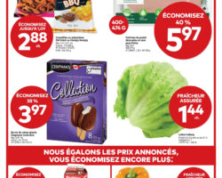 Circulaire Tigre Géant 29.07.2026