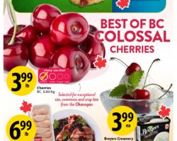 Save on Foods Flyer (AB)
