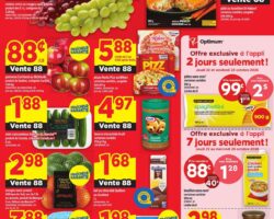 Circulaire Maxi 22.10.2026